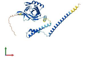 AlphaFold protein structure predicition of Mouse Recombinant Cops6 Protein, UniprotID O88545 (COPS6 Protein (AA 1-324) (His tag))
