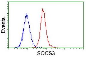 Flow cytometric Analysis of Hela cells, using anti-SOCS3 antibody (ABIN2454618), (Red), compared to a nonspecific negative control antibody, (Blue). (SOCS3 antibody)