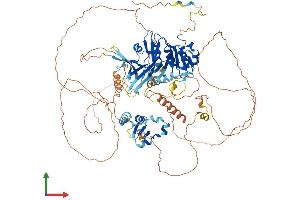 AlphaFold protein structure predicition of Human Recombinant LPIN1 Protein, UniprotID Q14693 (Lipin 1 Protein (LPIN1) (AA 1-890) (His tag))