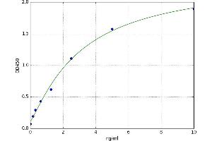 A typical standard curve (Stathmin 1 ELISA Kit)