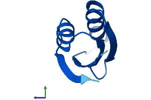 AlphaFold protein structure predicition of Human Recombinant ATOX1 Protein, UniprotID O00244 (ATOX1 Protein (AA 1-68) (Fc Tag))