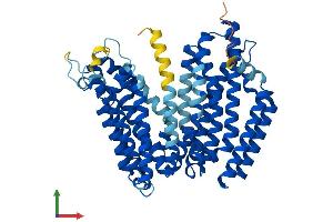 Protein Structure (PS) image for RFT1 Homolog (RFT1) (AA 1-541) protein (His tag) (ABIN7551283)