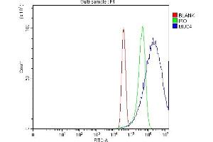 Flow Cytometry analysis of MCF-7 cells using anti-MUC4 antibody (ABIN7599886). (MUC4 antibody  (AA 1250-1444))
