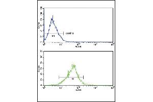 Flow cytometricof MCF-7 cells (bottom histogram) compared to a negative control cell (top histogram).