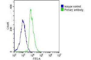 Overlay histogram showing SH-SY5Y cells stained with Antibody (green line).