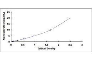 Interleukin 22 Receptor, alpha 2 (IL22RA2) ELISA Kit