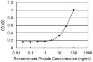 Detection limit for recombinant GST tagged PMS2 is 1 ng/ml as a capture antibody. (PMS2 antibody  (AA 763-862))