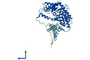 Protein Structure (PS) image for Sphingosine-1-Phosphate Lyase 1 (SGPL1) (AA 1-568) protein (His tag) (ABIN7559646)