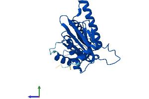AlphaFold protein structure predicition of Mouse Recombinant Psma6 Protein, UniprotID Q9QUM9 (PSMA6 Protein (AA 1-246) (His tag))