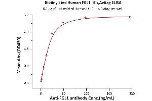 Immobilized Biotinylated Human FGL1, His,Avitag (recommended for biopanning) (ABIN6951039,ABIN6952294) at 1 μg/mL (100 μL/well) on Streptavidin  precoated (0.