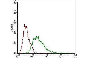 Flow cytometric analysis of Hela cells using ROR2 mouse mAb (green) and negative control (red). (ROR2 antibody  (AA 59-155))