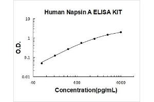 Napsin A Aspartic Peptidase (NAPSA) ELISA Kit