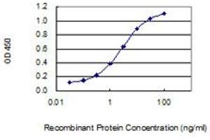 Detection limit for recombinant GST tagged HYKK is 0. (AGPHD1 antibody  (AA 1-172))