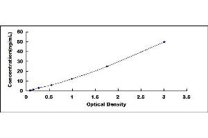 Typical standard curve (Thrombospondin 2 ELISA Kit)