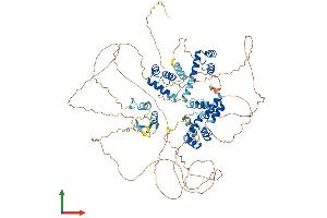 AlphaFold protein structure predicition of Human Recombinant ZHX2 Protein, UniprotID Q9Y6X8