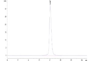 The purity of Cynomolgus CD46 is greater than 95 % as determined by SEC-HPLC. (CD46 Protein (CD46) (AA 35-329) (His tag))