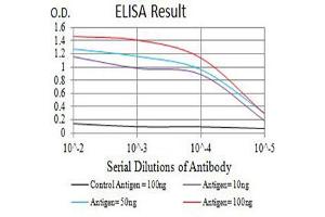 Black line: Control Antigen (100 ng),Purple line: Antigen (10 ng), Blue line: Antigen (50 ng), Red line:Antigen (100 ng) (SIRPA antibody  (AA 235-373))