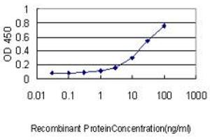 ELISA image for anti-Chaperonin Containing TCP1, Subunit 5 (Epsilon) (CCT5) (AA 1-541) antibody (ABIN564973)