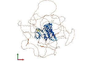 Protein Structure (PS) image for Homeodomain Interacting Protein Kinase 2 (HIPK2) (AA 1-1196) protein (His tag) (ABIN7565169)