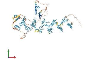 AlphaFold protein structure predicition of Human Recombinant ZNF197 Protein, UniprotID O14709 (ZNF197 Protein (AA 1-1029) (His tag))
