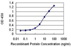 Detection limit for recombinant GST tagged IL12B is 0. (IL12B antibody  (AA 229-328))