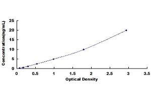 Typical Standard Curve (Asparagine Synthetase ELISA Kit)