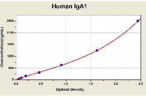 Diagramm of the ELISA kit to detect Human 1 gA1with the optical density on the x-axis and the concentration on the y-axis. (IgA1 ELISA Kit)