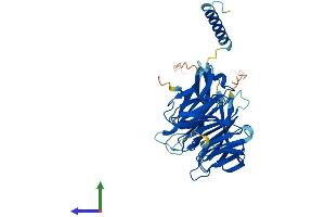 Protein Structure (PS) image for Prolactin Regulatory Element Binding (PREB) (AA 1-417) protein (His tag) (ABIN7550959)