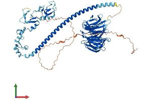 Protein Structure (PS) image for TNF Receptor-Associated Factor 7 (TRAF7) (AA 1-670) protein (His tag) (ABIN7544675)