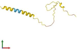AlphaFold protein structure predicition of Human Recombinant LINC00158 Protein, UniprotID P58513