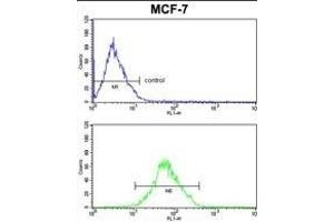 Flow Cytometry (FACS) image for anti-Actin Related Protein 2/3 Complex, Subunit 1B, 41kDa (ARPC1B) (AA 159-188) antibody (ABIN652700)