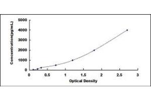 Typical standard curve (MMP10 ELISA Kit)