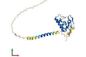 Protein Structure (PS) image for Progesterone Receptor Membrane Component 2 (PGRMC2) (AA 1-223) protein (His tag) (ABIN7550696)