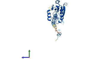 AlphaFold protein structure predicition of Mouse Recombinant Dusp19 Protein, UniprotID Q8K4T5 (DUSP19 Protein (AA 1-220) (His tag))