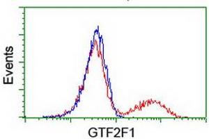 HEK293T cells transfected with either RC201294 overexpress plasmid (Red) or empty vector control plasmid (Blue) were immunostained by anti-GTF2F1 antibody (ABIN2454913), and then analyzed by flow cytometry.