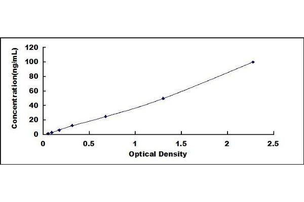 beta Defensin 1 ELISA Kit