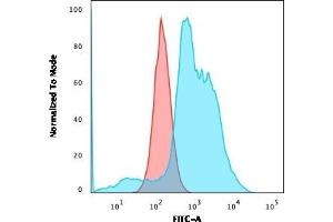 Flow Cytometric Analysis of SKBR-3 cells using B7-H4 Mouse Monoclonal Antibody (B7H4/1788) followed by goat anti-Mouse IgG-CF488 (Blue); Isotype Control (Red). (VTCN1 antibody)