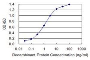 Detection limit for recombinant GST tagged GOLGA2 is 0. (Golgin A2 (GOLGA2) (AA 1-120) antibody)