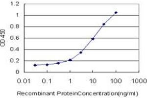 Detection limit for recombinant GST tagged RAX is approximately 0. (RAX antibody  (AA 104-206))