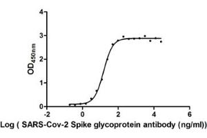 The Binding Activity of SARS-CoV-2-S Antibody with SARS-CoV-2-S1-RBD. (Recombinant SARS-CoV-2 Spike S1 antibody)