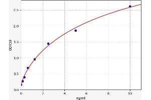 Typical standard curve (SULT1A1 ELISA Kit)