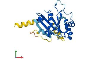 AlphaFold protein structure predicition of Human Recombinant SAR1A Protein, UniprotID Q9NR31 (SAR1A Protein (AA 1-198) (His tag))