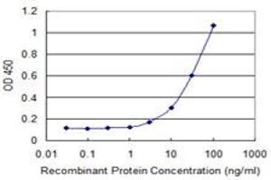 Detection limit for recombinant GST tagged LEPR is 1 ng/ml as a capture antibody. (Leptin Receptor antibody  (AA 31-130))