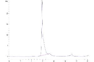 Size-exclusion chromatography-High Pressure Liquid Chromatography (SEC-HPLC) image for Leucine-Rich Repeat Containing G Protein-Coupled Receptor 5 (LGR5) (AA 22-543) protein (Fc Tag) (ABIN7275146)