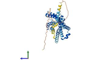 AlphaFold protein structure predicition of Human Recombinant PTGDR2 Protein, UniprotID Q9Y5Y4 (Prostaglandin D2 Receptor 2 (PTGDR2) (AA 1-395) protein (His tag))