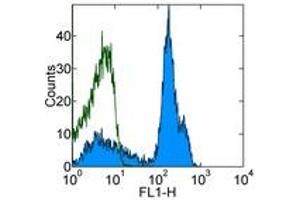 Image no. 1 for anti-CD38 antibody (FITC) (ABIN474147) (CD38 antibody  (FITC))