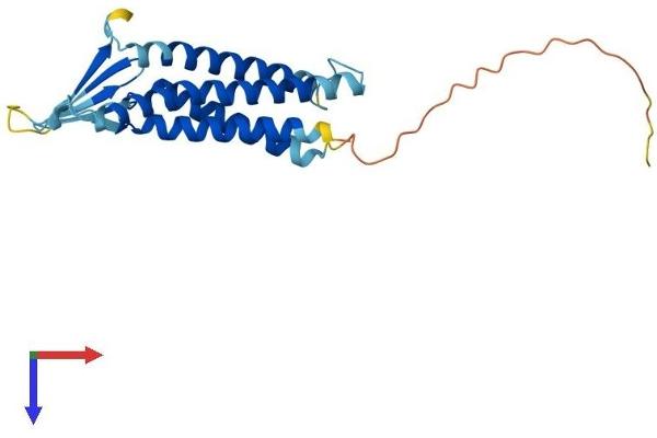 Claudin 6 Protein (CLDN6) (AA 1-219) (His tag)