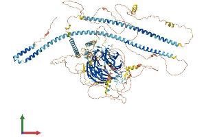 Protein Structure (PS) image for Sperm Associated Antigen 9 (SPAG9) (AA 1-1321) protein (His tag) (ABIN7563795)