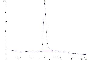 The purity of Human CD34 is greater than 95 % as determined by SEC-HPLC. (CD34 Protein (CD34) (AA 32-290) (His tag))