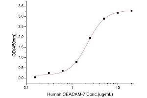 Carcinoembryonic Antigen-Related Cell Adhesion Molecule 3 (CEACAM3) (AA 35-155) (Active) protein (His tag)
